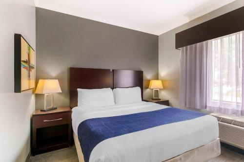 Best Western Plus Olathe Hotel - image 6