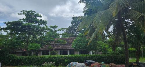 Deluxe Double or Twin Room with Ocean View room in Angeo Beach House
