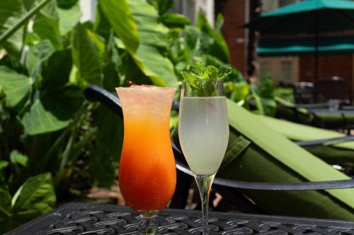 Bourbon Orleans Hotel - image 4
