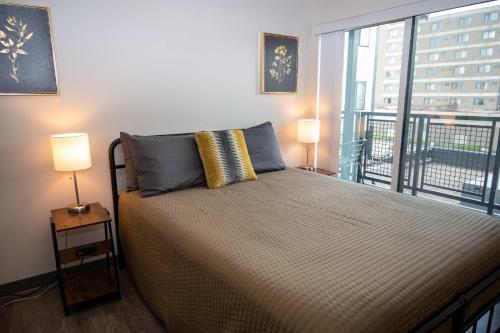 Brand New HUGE Apartment Next To Mayo, Park Free in Rochester, USA