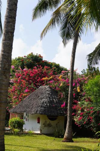 peeKAboo Diani Beach in Mombasa