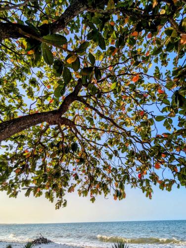 Kaole Home Stay in Bagamoyo