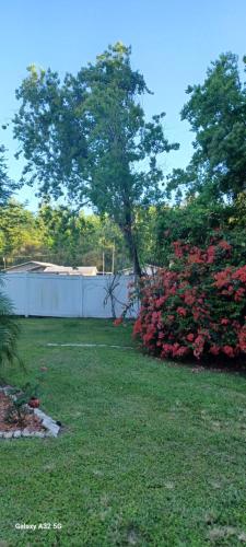 NO- MEDIA- RETRO- Antique Rose Garden Fireplace Suite in Groveland, USA