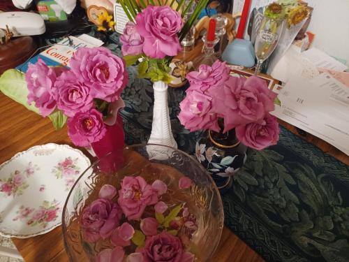 NO- MEDIA- RETRO- Antique Rose Garden Fireplace Suite in Groveland, USA