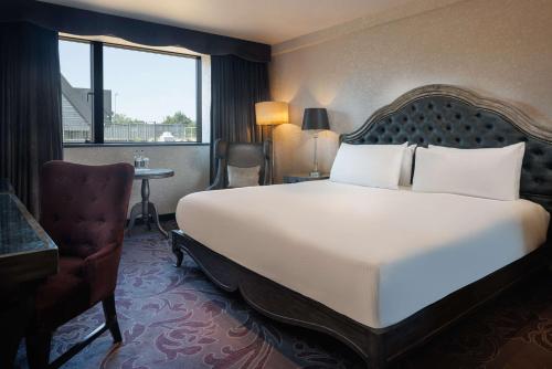 Hilton London Syon Park - image 5