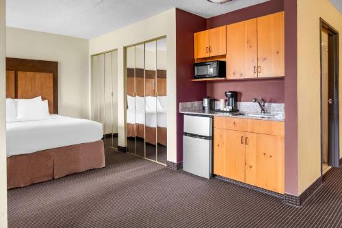 Best Western Plus Holland Inn & Suites - image 10