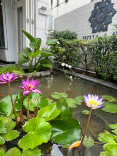 Foto - WUA LAI Boutique Hotel Chiang Mai