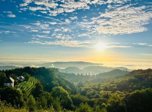 Wohlmuth-Lückl Wohlmuth-Lückl