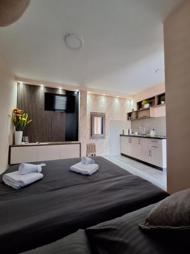 ベオグラード Apartments Green Beograd 4つ星 ゲストハウス スイート