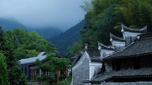 . 宁波栖霞山居丨森岛