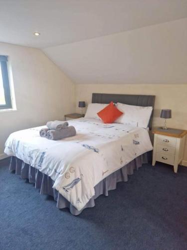 The Bedsit, Pembrokeshire