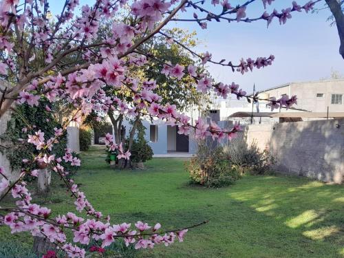 La casa de Flor in San Martín (Mendoza)