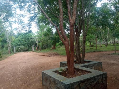 Lingkungan sekitar, Park view Bungalow Wilpattu in Anuradhapura