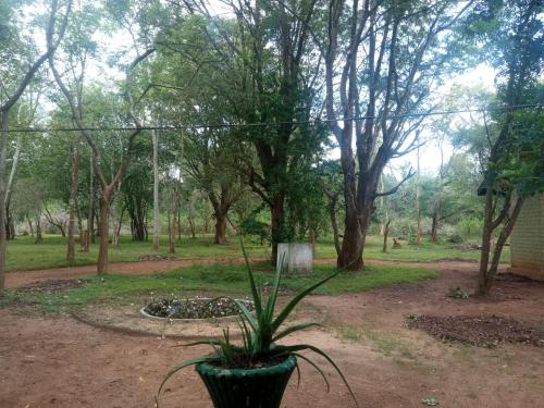 Lingkungan sekitar, Park view Bungalow Wilpattu in Anuradhapura