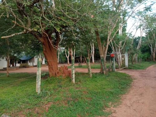 Lingkungan sekitar, Park view Bungalow Wilpattu in Anuradhapura