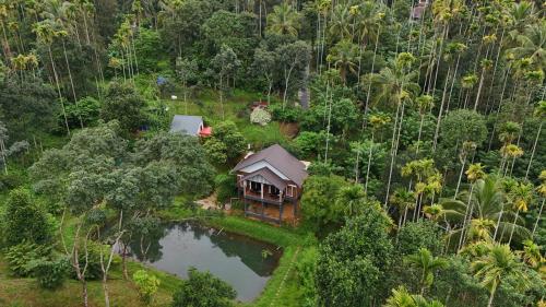 Casta Wild Resort in Kenichira