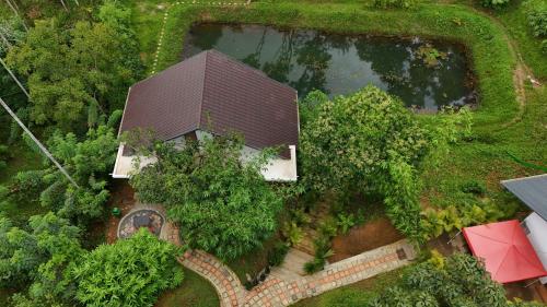 Casta Wild Resort in Kenichira