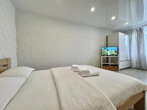 ApartPoltava Світлі та затишні апартаменти в Скандинавському стилі ЦЕНТР БАНКІВСЬКИЙ ЧЕК, Poltava (fotografie 3)