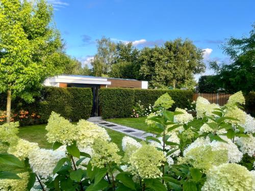Dreamzzz B&B Kaatsheuvel