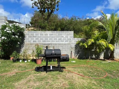 Entire Property with Patio and Oceanview