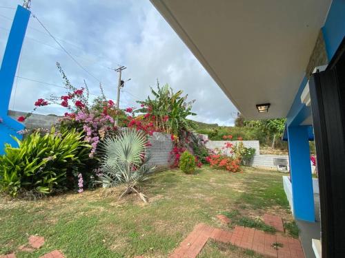 Entire Property with Patio and Oceanview