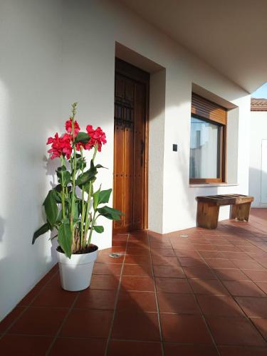Viesnīcas āriene, Casa Rural En Los Trigales in Nava de la Asuncion