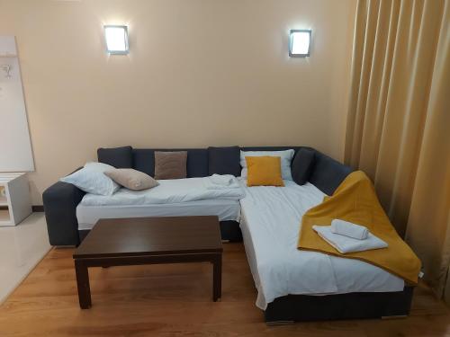 Terra complex -D6 - Balkan private apartment-Spa Sking Golf and Relax, Razlog (foto 4)