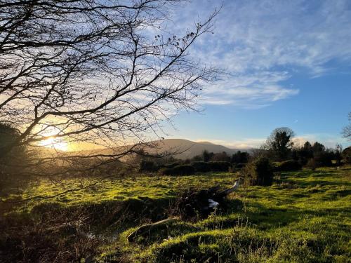 주변 환경, Tranquil Tigín - your Little Holiday in Wicklow (Tranquil Tigin - your Little Holiday in Wicklow) in 위클로우