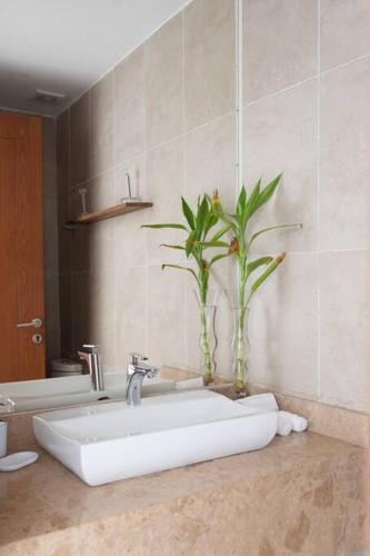 Luxury Beach Front 3Br Condo in Cruz de Huanacaxtle, Mexico