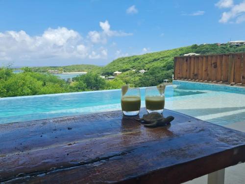 View, Oceanview Luxury Retreat with Private Infinity Pool in Grand Anse