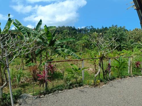 View, Babakan Unda Cottage in Klungkung