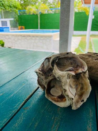 Casa Palmar Point in San Carlos