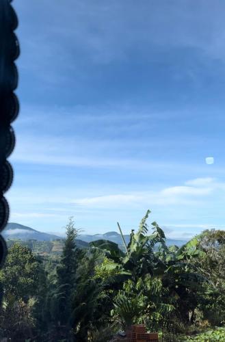 Farm co chu Tuan Ha in Me Linh