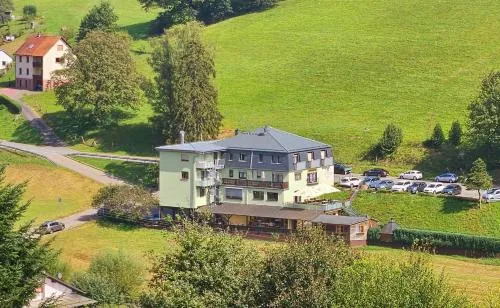Hotel Grüner Baum mit Restaurant & Wellness in Beerfelden, Deutschland