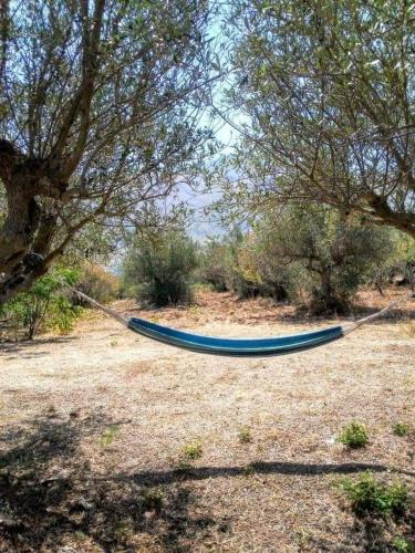 Rustico del Capitano in กาเซ ตรัปเปโต