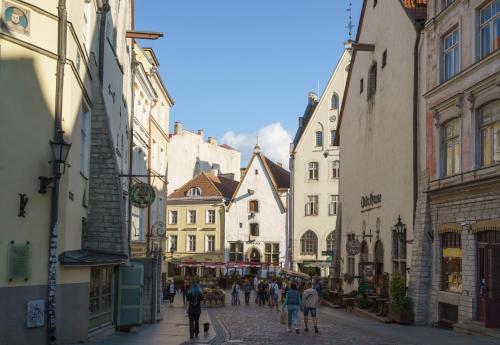 Great American Gallery, Tallinn