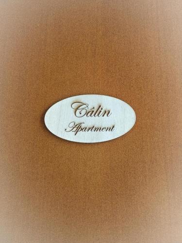 Calin Apartment, Turin (photo 5)