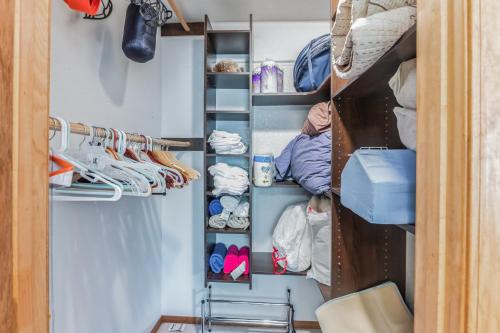 Secluded Mountain Cabin with Forest Views cabin