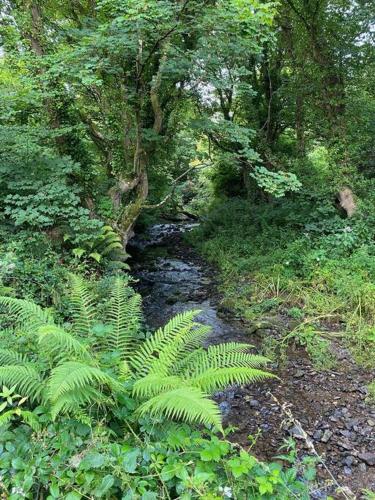 Banc Cottage in Moylgrove