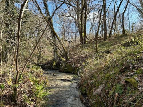 Location La Grange de Routgé - 4 étoiles (Location La Grange de Routge - 4 etoiles) in Roquefort