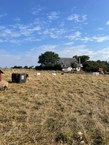 Oestermark, Ærøskøbing (Foto 4)