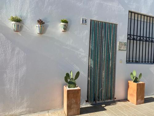 CASA DEL PEZ Vivienda a pie de calle en Agua Amarga a 250 metros de la playa 5