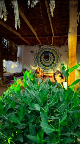 Miramar Camp Dahab – Dahab, IN
