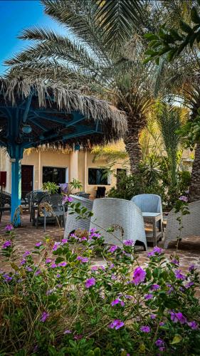 Miramar Camp Dahab – Dahab, IN