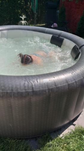 Bia Glamp in Vulcana De Sus