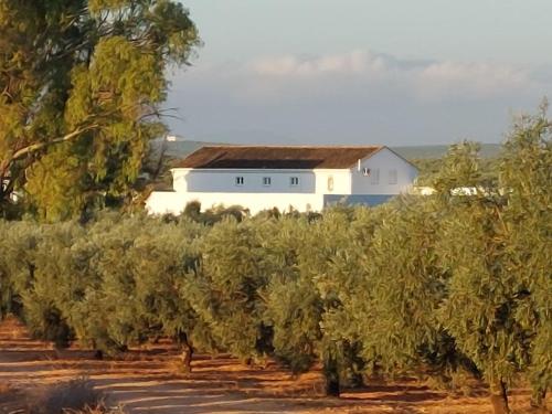 Luxury accomodation off grid