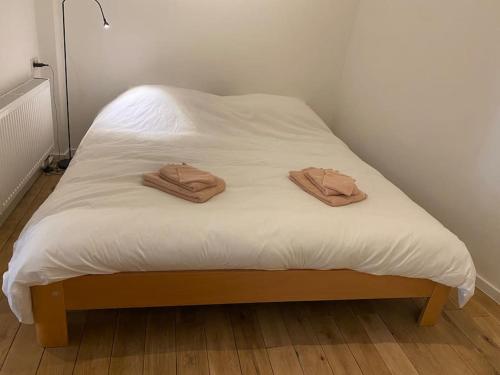 Studio Richard, Antverpy (fotografie 10)