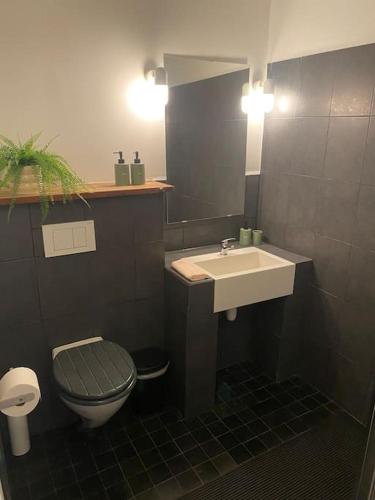 Studio Richard, Antverpy (fotografie 11)
