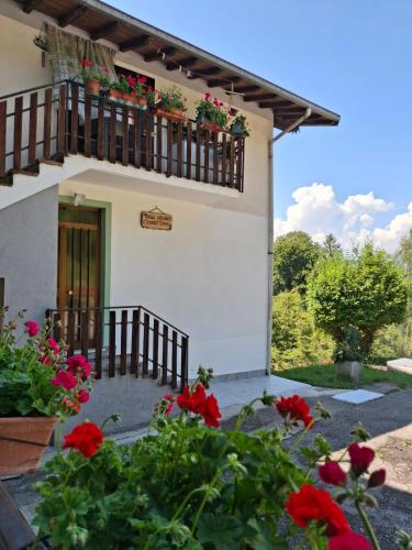 Casa vacanze nonno Ciano