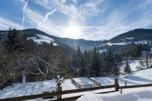 Hotel Gasthof Erbhof Anderlhof – Leogang, SD